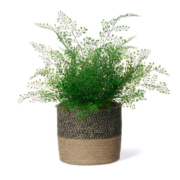 フェイクグリーン 観葉植物 人工観葉植物 造花 卓上 フェイク インテリア リアル おしゃれ アジアンタム ジュートポット 52cm リビング PRGR-1470 GREENPARK 玄の画像