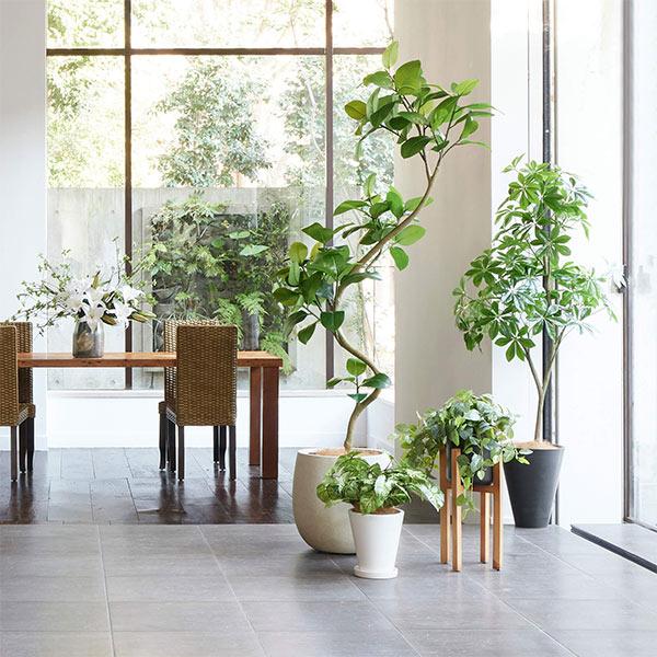 人工観葉植物セット インテリア フェイクグリーン 観葉植物 フェイク 人工観葉植物 造花 植物