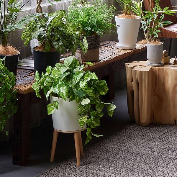 フェイクグリーン 観葉植物 フェイク 人工観葉植物 造花 植物