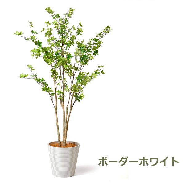 ドウダンツツジ フェイク グリーン 大型 人工観葉植物 造花 枝 枝もの