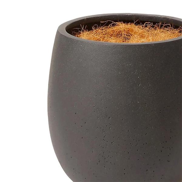 フェイクグリーン 観葉植物 人工観葉植物 造花 卓上 フィカス