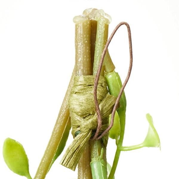 フェイクグリーン 観葉植物 人工観葉植物 造花 壁掛け アジアンタム