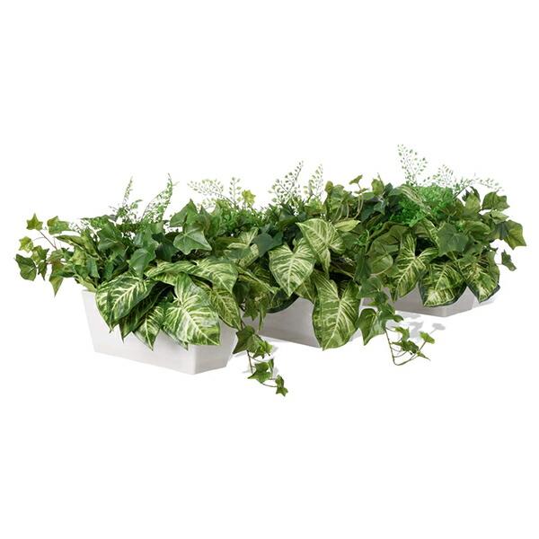 フェイクグリーン 観葉植物 人工観葉植物 造花 卓上 カウンター パーテーション カラジウム アイビー ブロッサムリーフ Low 3個セット PRGR-1417 GREENPARK おし_2