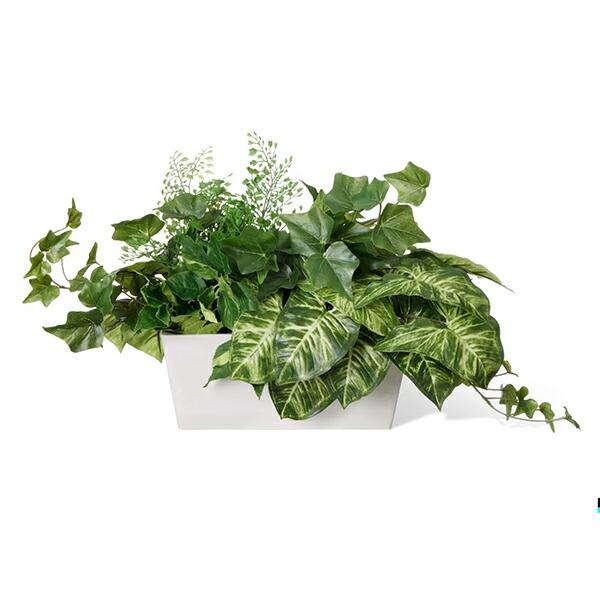 フェイクグリーン 観葉植物 人工観葉植物 造花 卓上 カウンター パーテーション カラジウム アイビー ブロッサムリーフ Low 3個セット PRGR-1417 GREENPARK おし_3