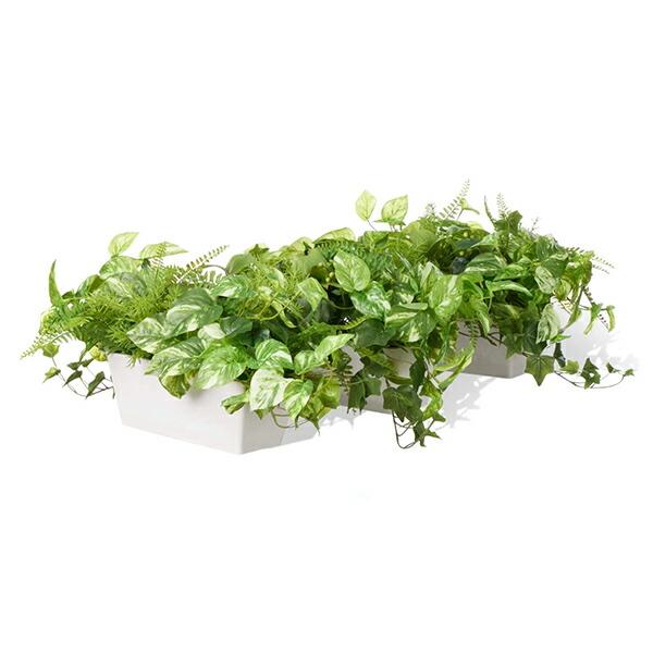 フェイクグリーン 観葉植物 人工観葉植物 造花 卓上 カウンター パーテーション 白斑入りポトス タマシダ ミリオン Low 3個セット おしゃれ PRGR-1418 GREENPARK_2