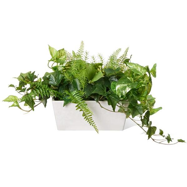 フェイクグリーン 観葉植物 人工観葉植物 造花 卓上 カウンター パーテーション 白斑入りポトス タマシダ ミリオン Low 3個セット おしゃれ PRGR-1418 GREENPARK_4