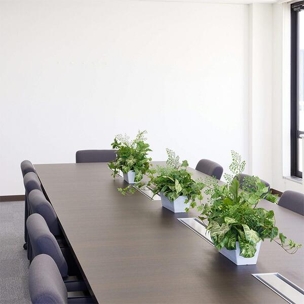 フェイクグリーン 観葉植物 人工観葉植物 造花 卓上 カウンター