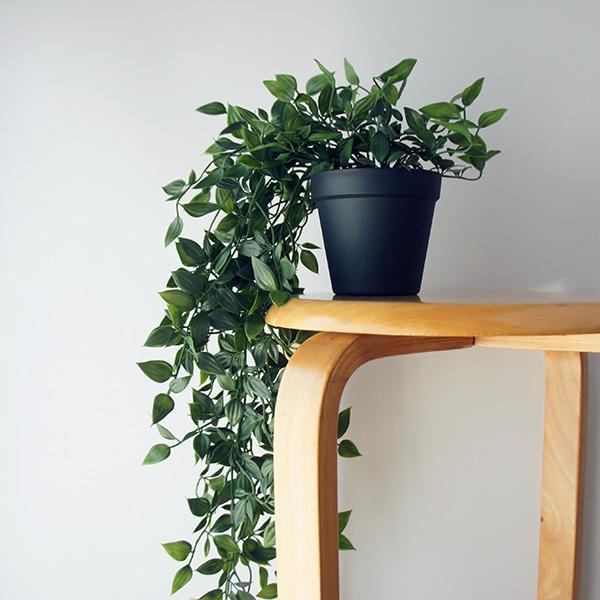 観葉植物 74cm フェイクグリーン フィカス シャングリラ 造花 ポット付