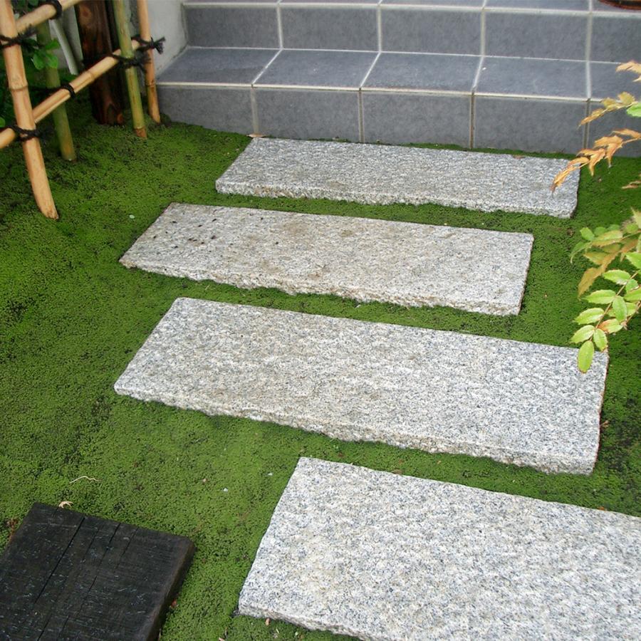 苔 庭 国産 58×28cm 10トレー 砂苔 スナゴケ 日本庭園 資材