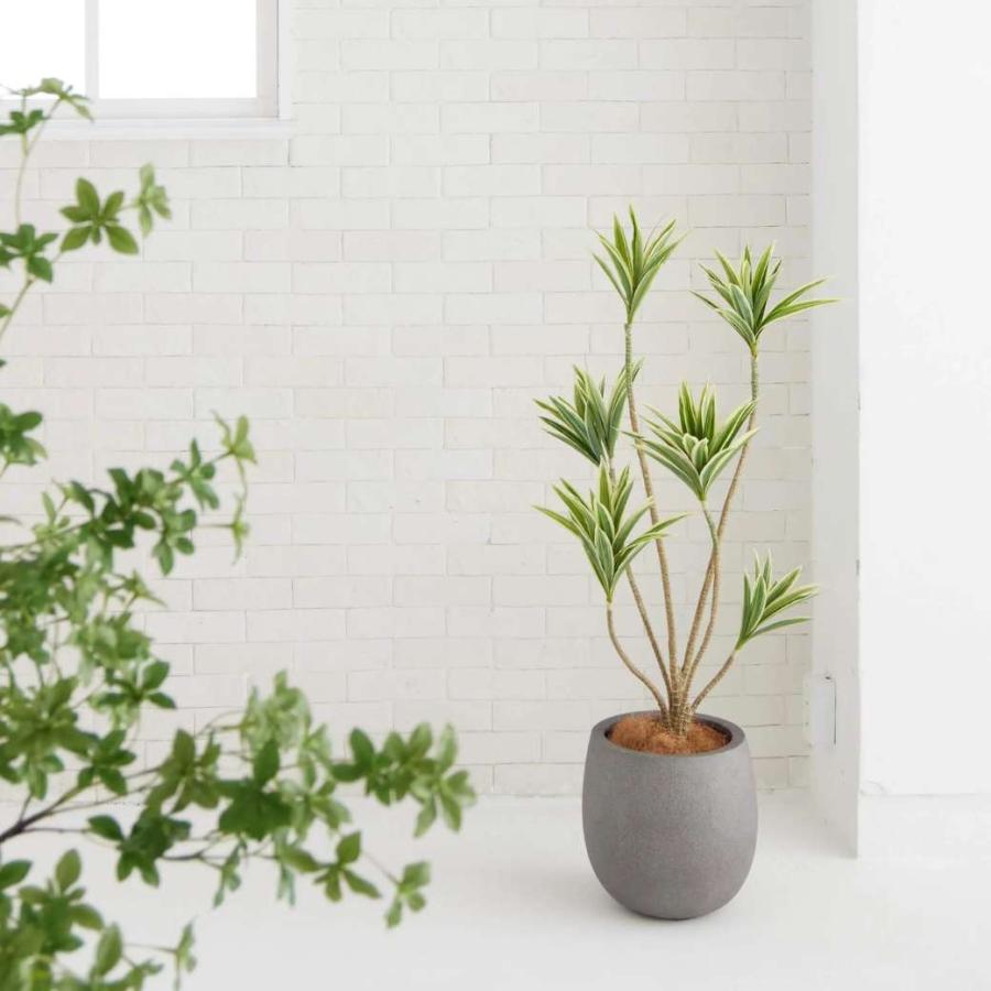 フェイクグリーン 観葉植物 人工観葉植物 造花 ドラセナ コンシンネ