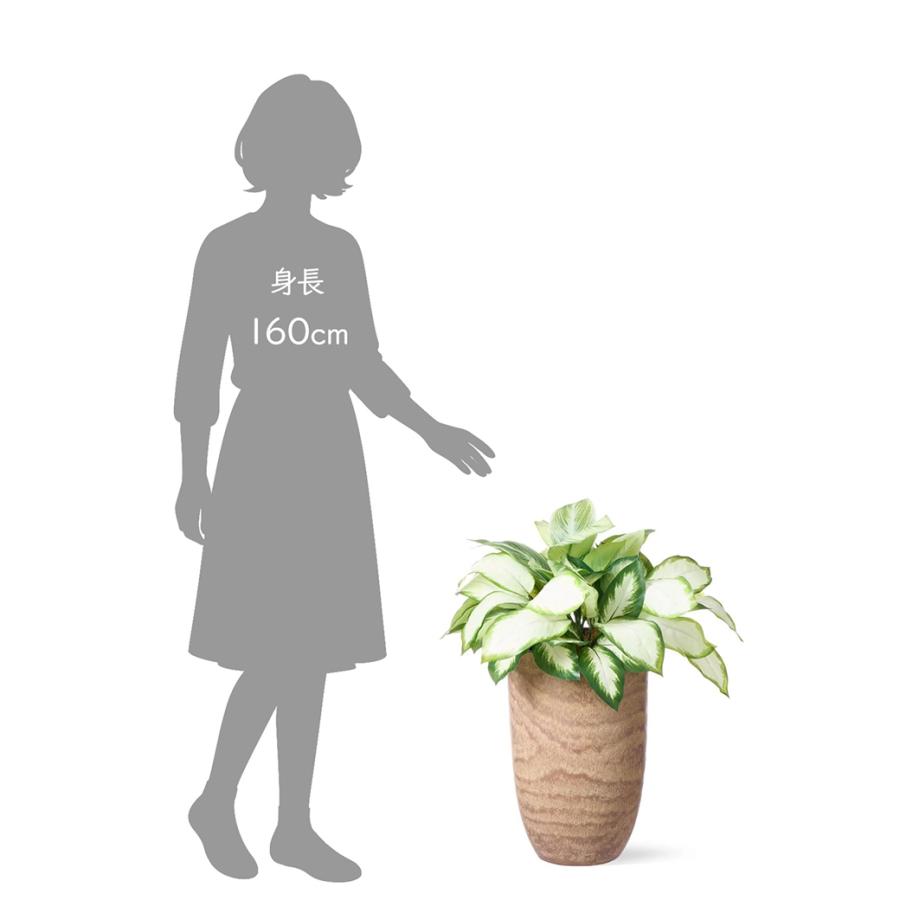 フェイクグリーン 観葉植物 人工観葉植物 造花 ディフェンバキア 