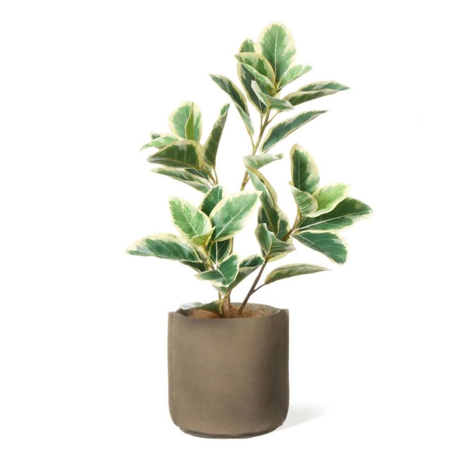 フェイクグリーン 観葉植物 人工観葉植物 造花 フィカス レザーポット H67cm ベージュ 植物 グリーン フェイク おしゃれ PRGR-1752BE グリーンパーク GREENPARK_2