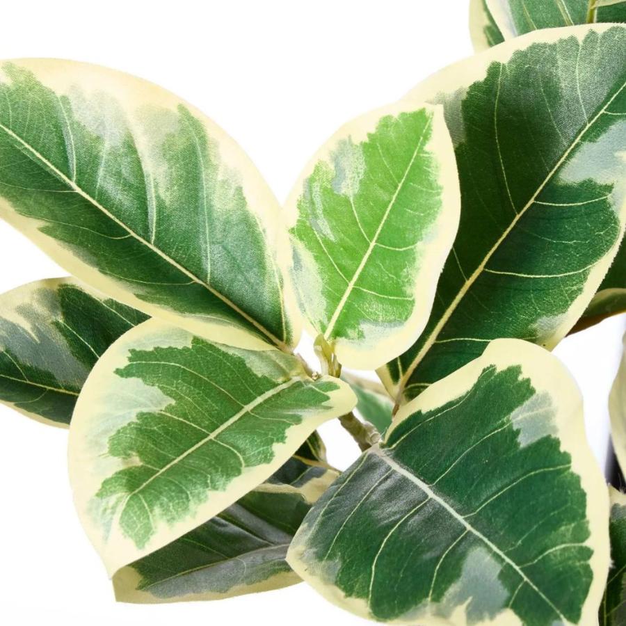 フェイクグリーン 観葉植物 人工観葉植物 造花 フィカス レザーポット H67cm ベージュ 植物 グリーン フェイク おしゃれ PRGR-1752BE グリーンパーク GREENPARK_3