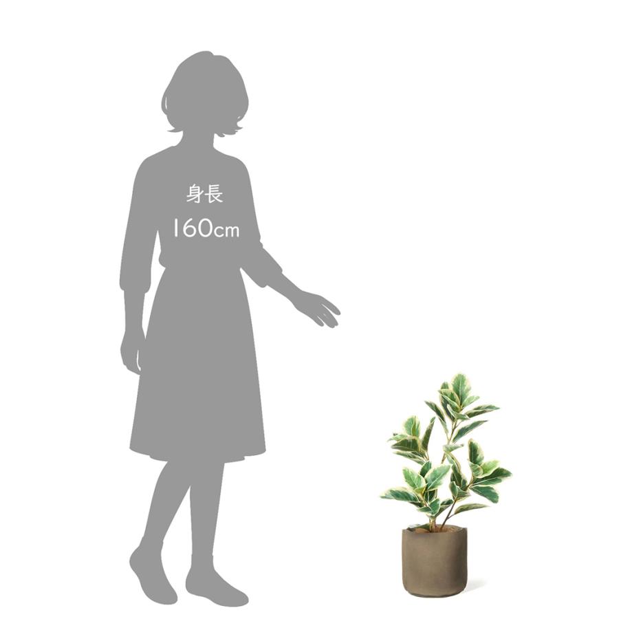 フェイクグリーン 観葉植物 人工観葉植物 造花 フィカス レザーポット H67cm ベージュ 植物 グリーン フェイク おしゃれ PRGR-1752BE グリーンパーク GREENPARK_6
