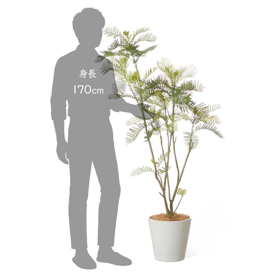 フェイクグリーン 観葉植物 人工観葉植物 造花 エバーフレッシュ GW