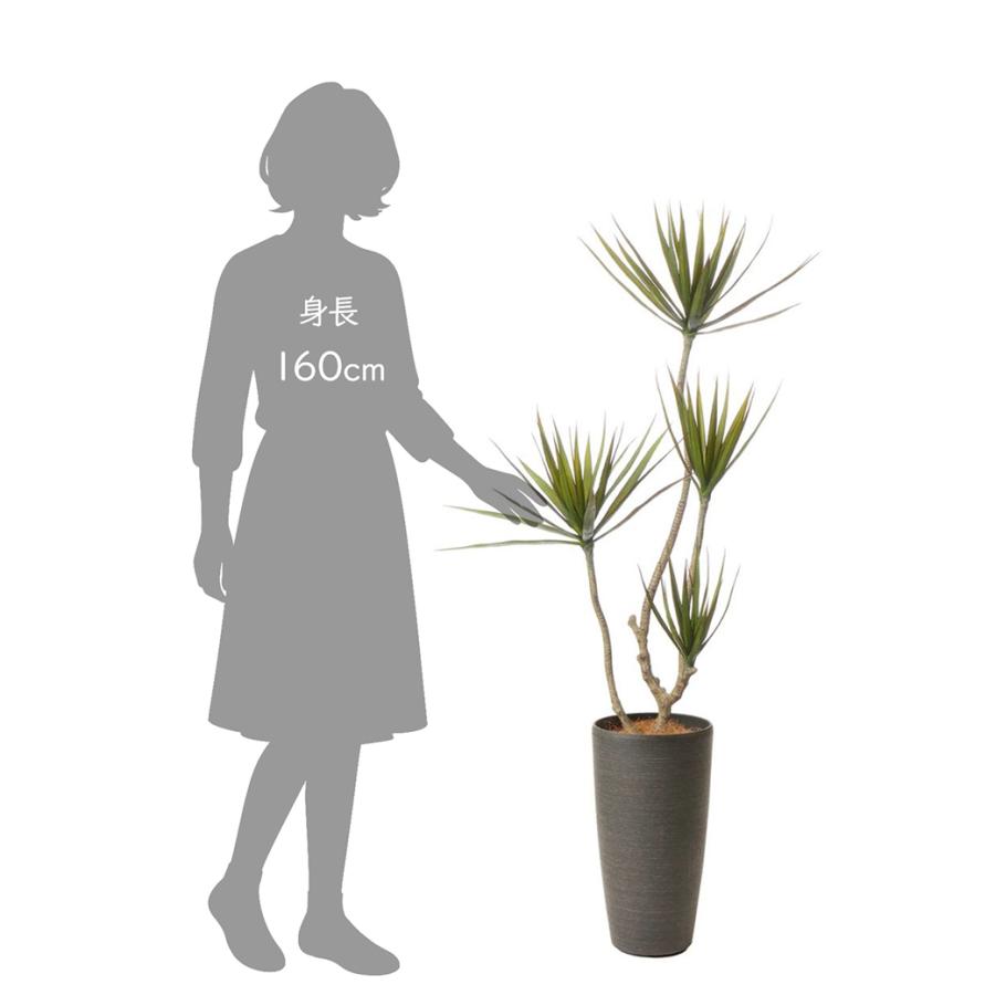フェイクグリーン 観葉植物 人工観葉植物 造花 ドラセナ コンシンネ TP 