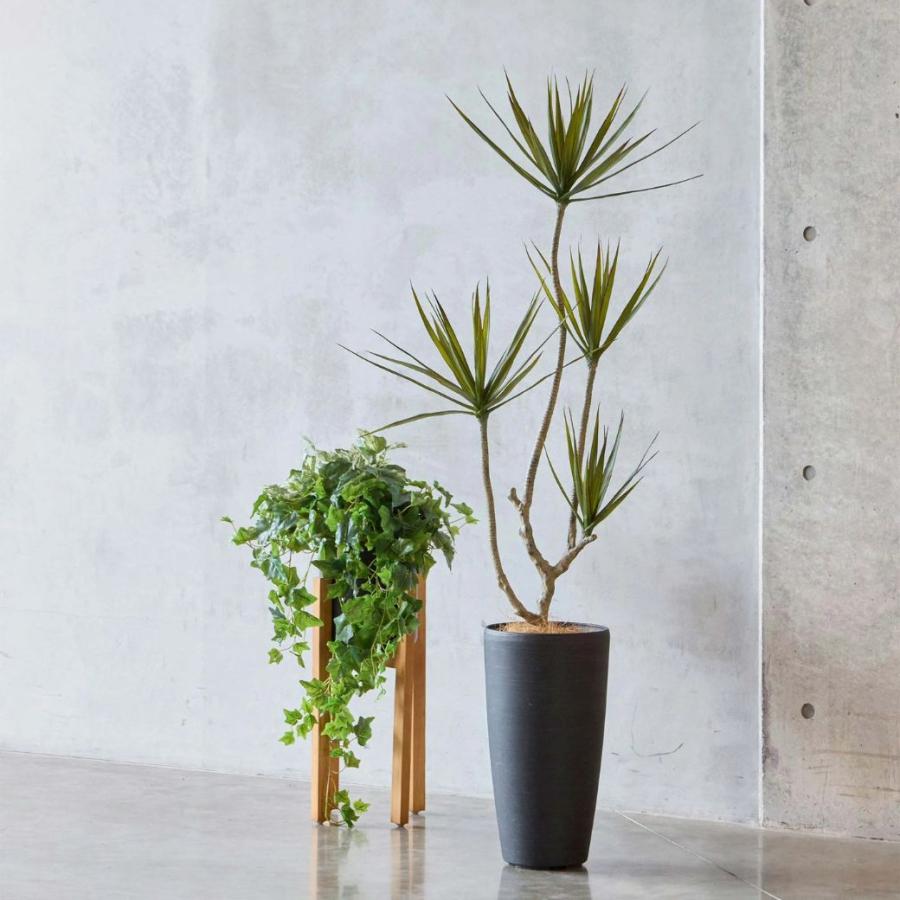 フェイクグリーン 観葉植物 人工観葉植物 造花 ドラセナ コンシンネ TP 