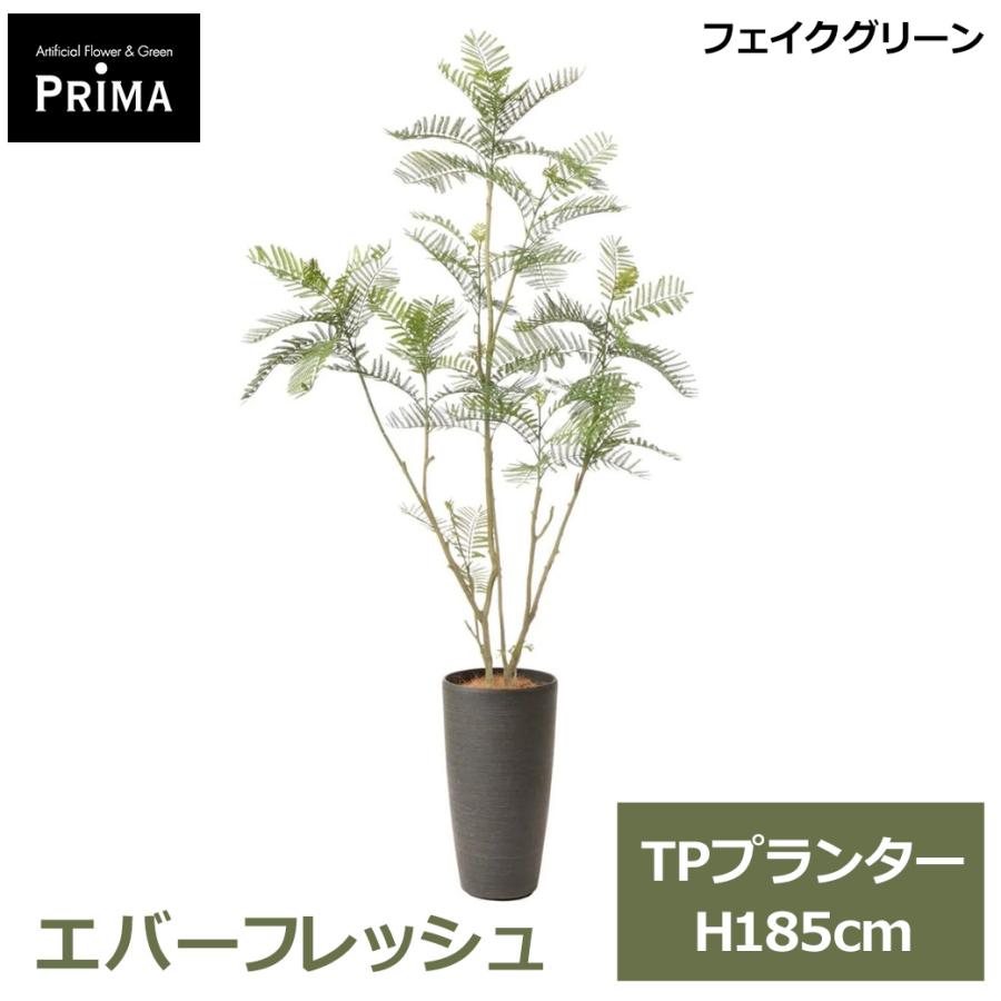 フェイクグリーン 観葉植物 人工観葉植物 造花 エバーフレッシュ TP