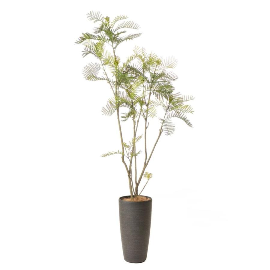 フェイクグリーン 観葉植物 人工観葉植物 造花 エバーフレッシュ TP