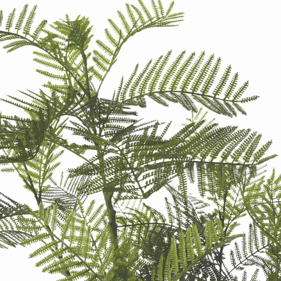 フェイクグリーン 人工観葉植物 鉢付き　190cm〜200cm エバーフレッシュ フェイクグリーン 観葉植物 人工観葉植物 造花 エバーフレッシュ TP