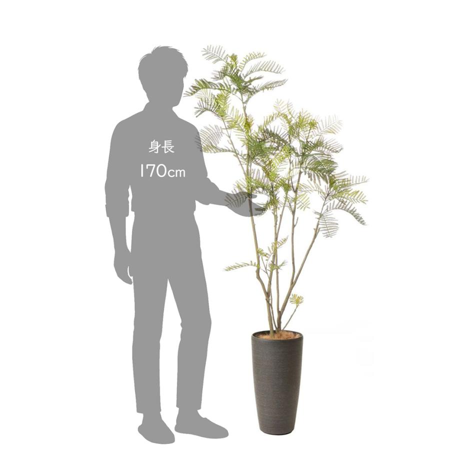 フェイクグリーン 観葉植物 人工観葉植物 造花 エバーフレッシュ TP