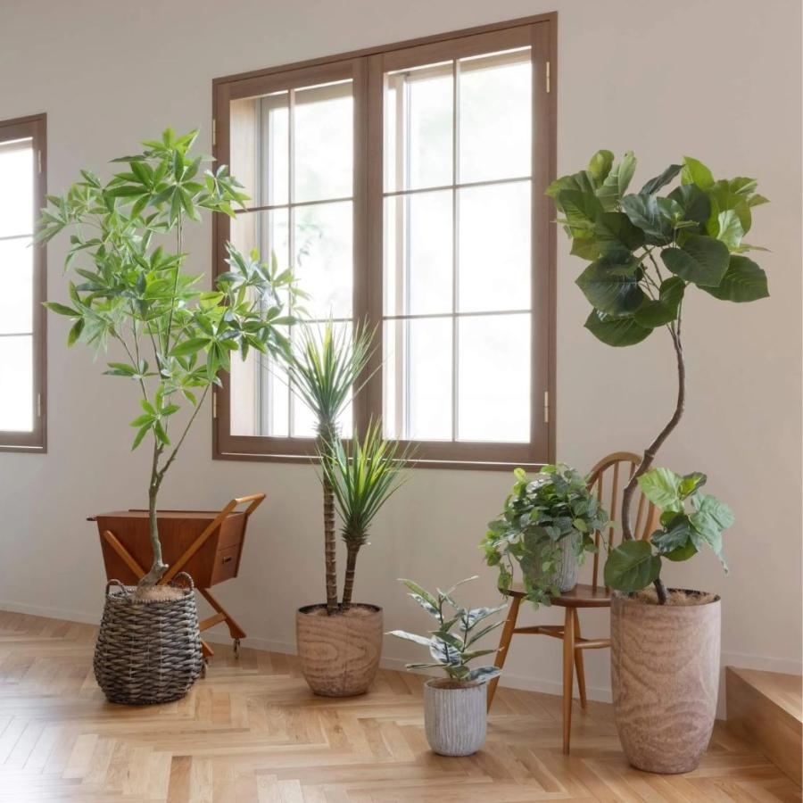 フェイクグリーン 観葉植物 人工観葉植物 造花 フィカス ウンベラータ 