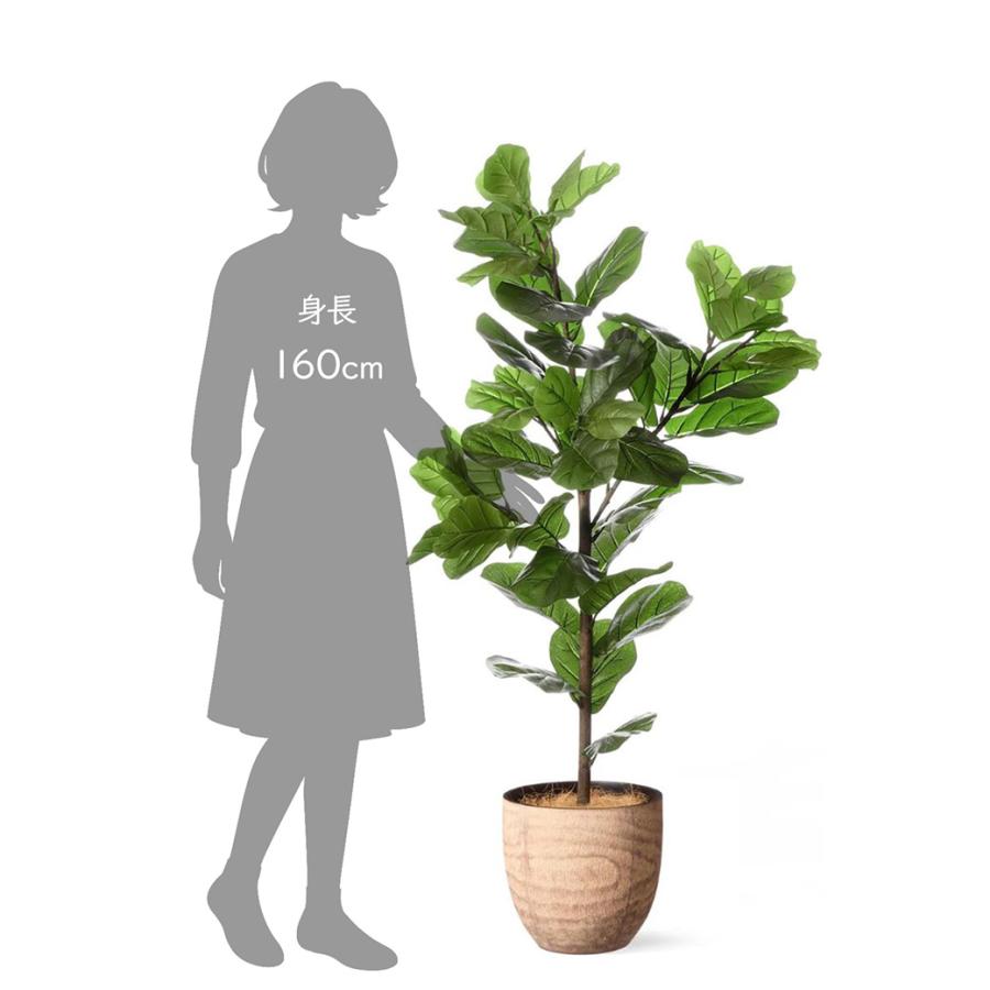 フェイクグリーン 観葉植物 人工観葉植物 造花 カシワバゴムノキ 