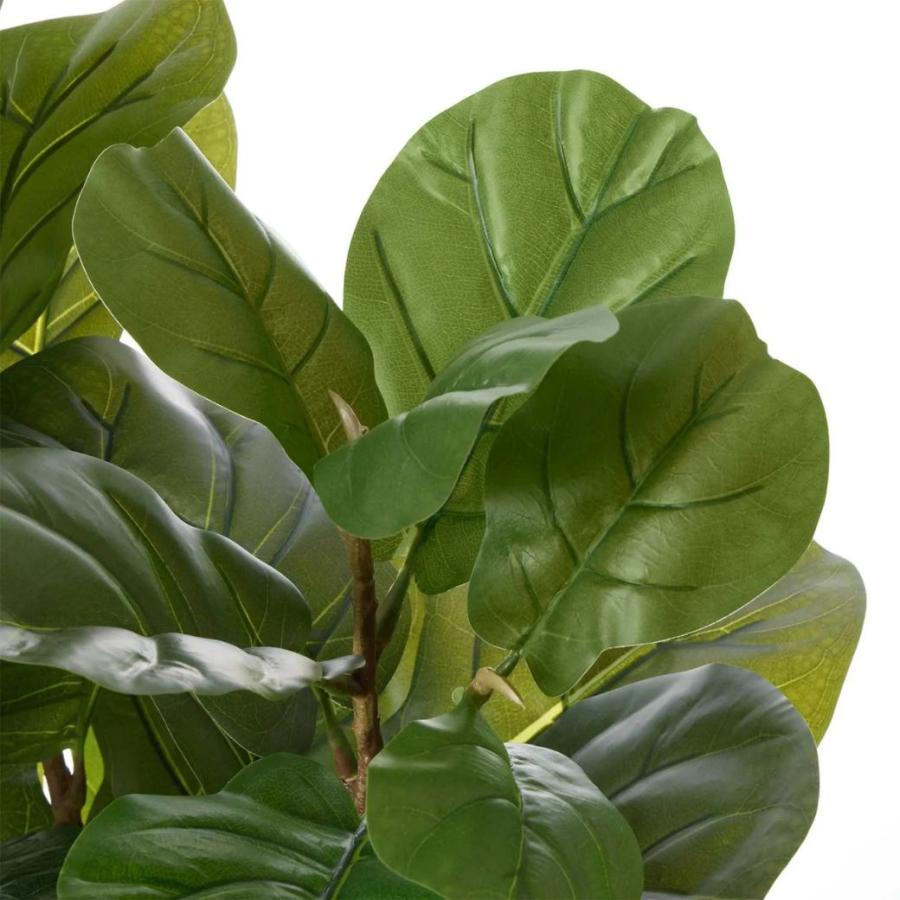 フェイクグリーン 観葉植物 人工観葉植物 カシワバゴムノキ レムリア 