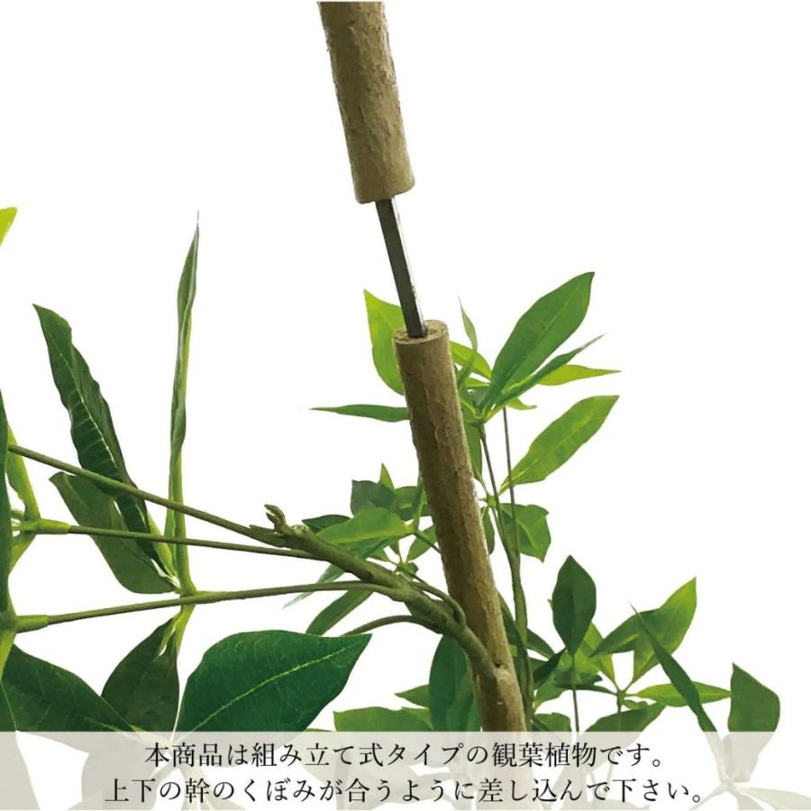 ウンベラータ 捻じれ フェイクグリーン 大型 人工観葉草木 造花 室内装飾緑であること プランター付き添い人 H200糎 観葉草木 格好のいい 水やり不必要 PRGR-1543 GREENPAR