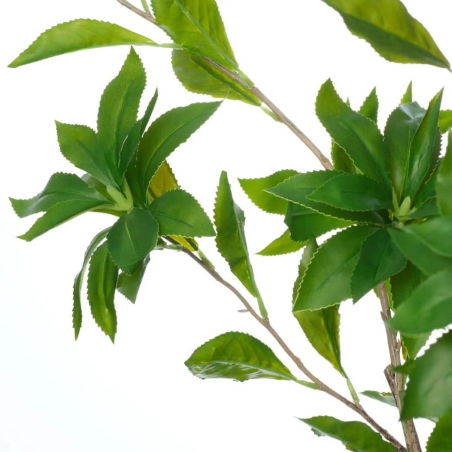 アセビ 馬酔木 フェイクグリーン 大型 人工観葉草木 造花 室内装飾緑であること プランター付き添い人 鉢付き添い人 H190糎 観葉草木 水やり不必要 草木 PRGR-1614 GREENPARK 軽