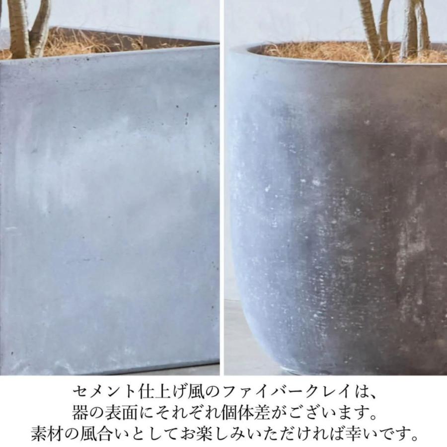 アセビ 馬酔木 フェイクグリーン 大型 人工観葉草木 造花 室内装飾緑であること プランター付き添い人 鉢付き添い人 H190糎 観葉草木 水やり不必要 草木 PRGR-1614 GREENPARK 軽