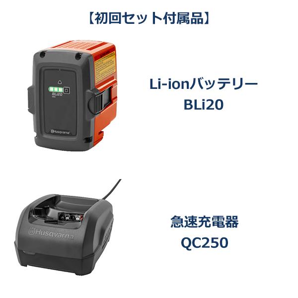 ハスクバーナ（Husqvarna） ポールソー 高枝 はさみ のこぎり