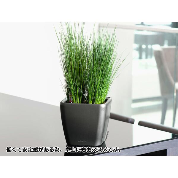植木鉢 プランター おしゃれ ガーデニング雑貨 レチューザ クアドロ