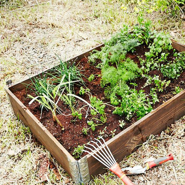 レイズドベッド　畑　お好きなサイズでお庭に作ります　庭 庭DIY】目指せ自給自足！レイズドベッド作り&野菜苗の植え付け/家庭