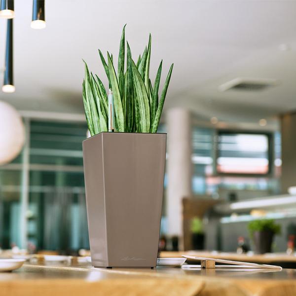 植木鉢 プランター おしゃれ ガーデニング雑貨 鉢 レチューザ マックス