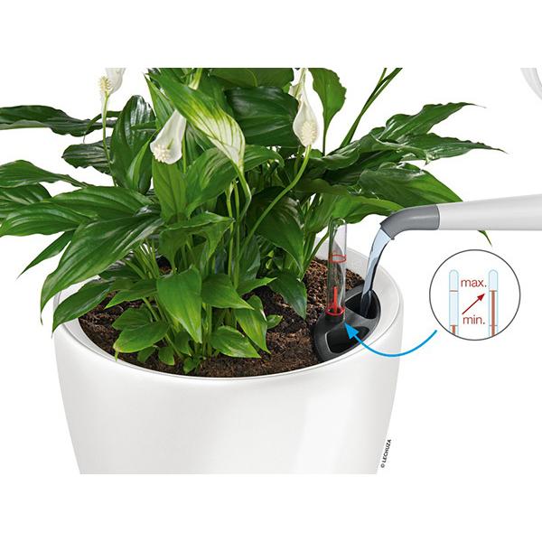 植木鉢 プランター おしゃれ ガーデニング雑貨 鉢 レチューザ 大型 