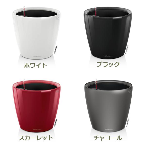 植木鉢 プランター おしゃれ ガーデニング雑貨 鉢 レチューザ 大型 