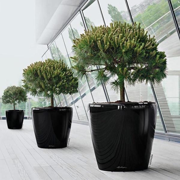 植木鉢 プランター おしゃれ ガーデニング雑貨 鉢 レチューザ