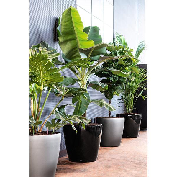 植木鉢 プランター おしゃれ ガーデニング雑貨 鉢 レチューザ