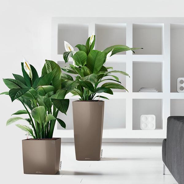 植木鉢 プランター おしゃれ ガーデニング雑貨 鉢 レチューザ 大型 