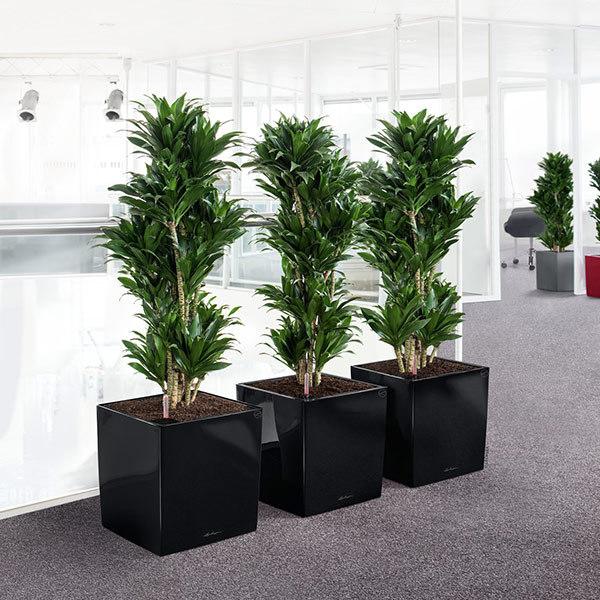 植木鉢 プランター おしゃれ ガーデニング雑貨 鉢 レチューザ 大型