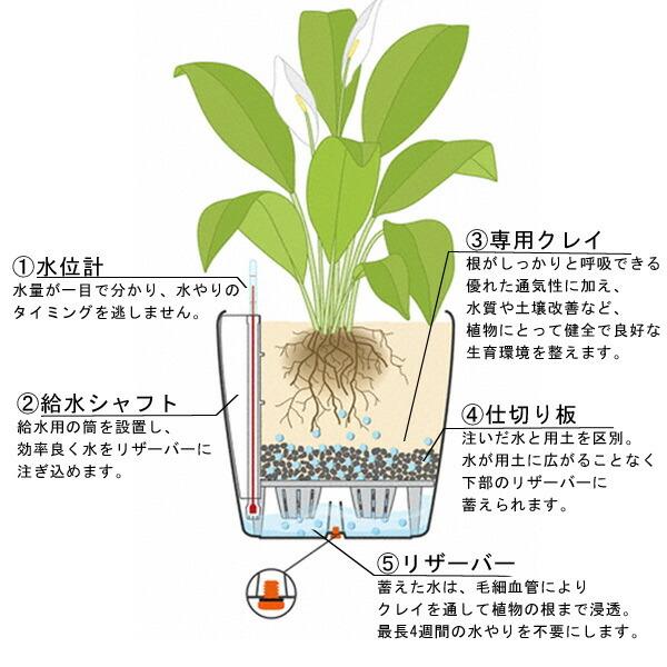 植木鉢 プランター おしゃれ ガーデニング雑貨 鉢 レチューザ 大型