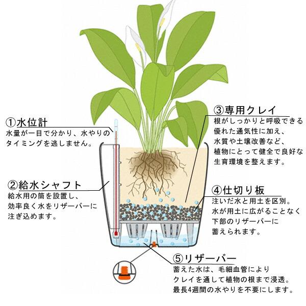 植木鉢 プランター おしゃれ ガーデニング雑貨 鉢 レチューザ