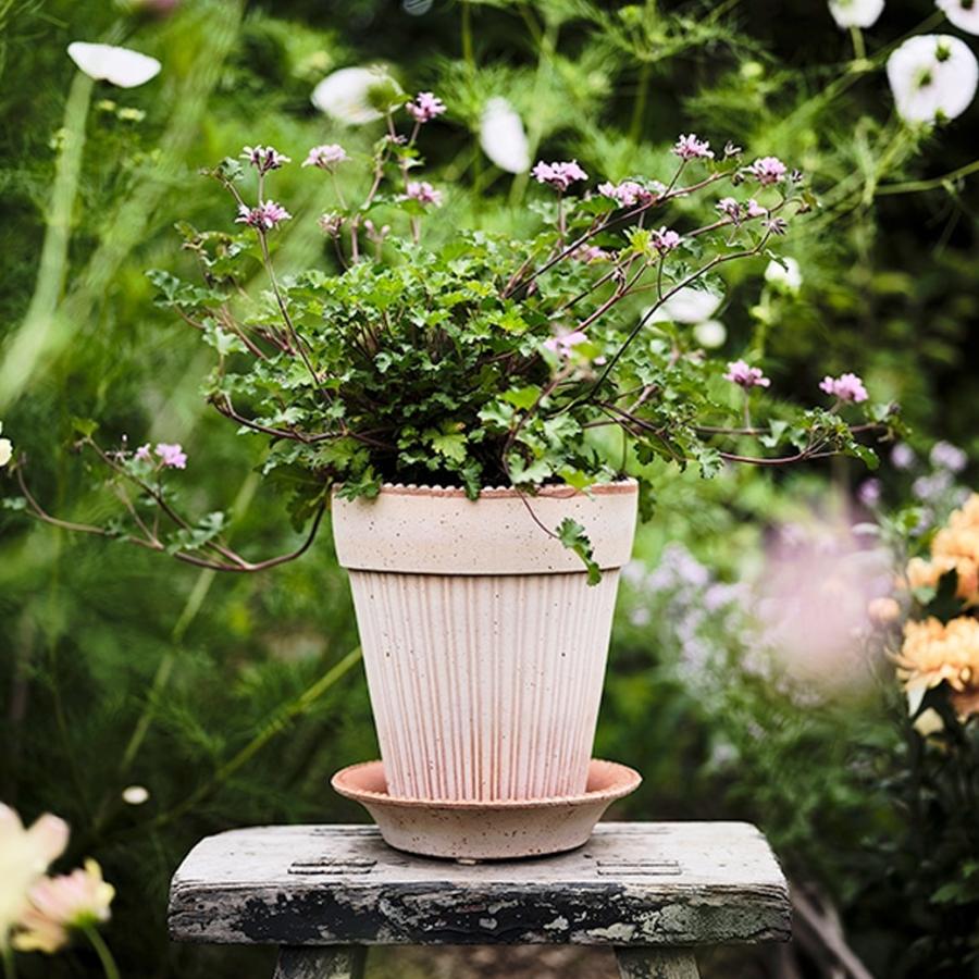 植木鉢 5号 素焼き テラコッタ 受け皿 セット おしゃれ かわいい 底穴