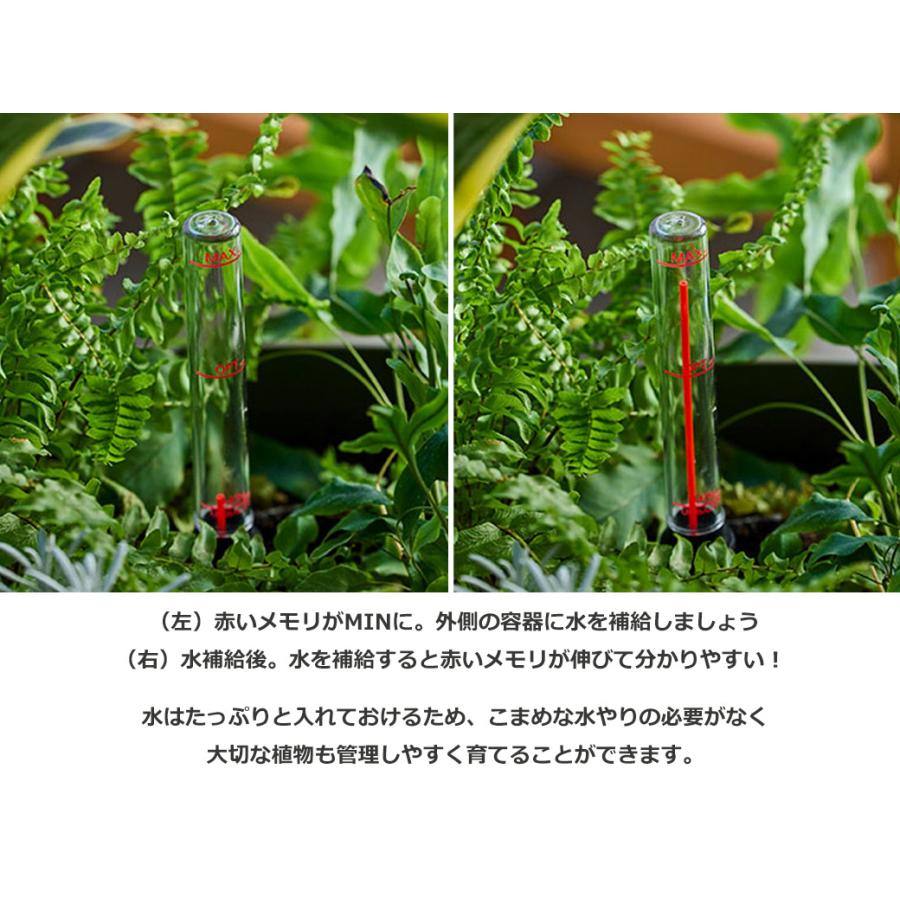 自動給水プランター 40cm 貯水式 植木鉢 おしゃれ 簡単 水やり不要