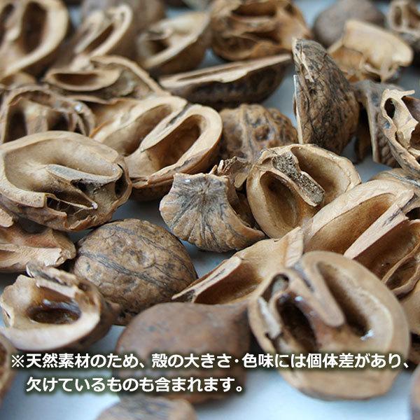 クルミ の殻 6.5kg 約22リットル 送料無料 日本国産 くるみ から