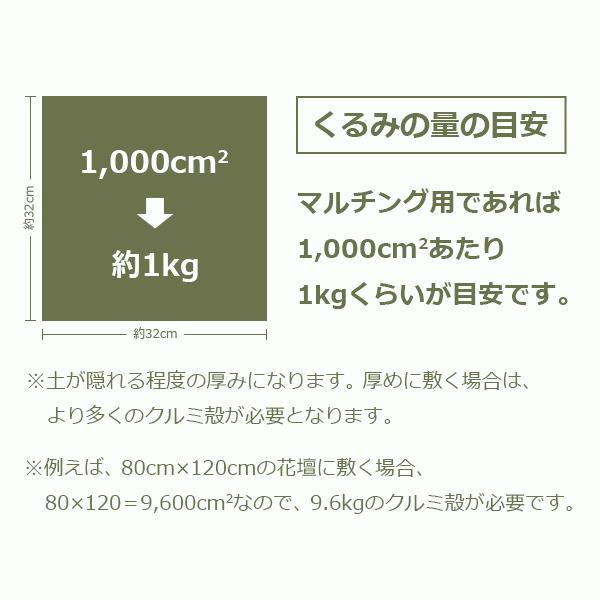 クルミ の殻 6.5kg 約22リットル 送料無料 日本国産 くるみ から