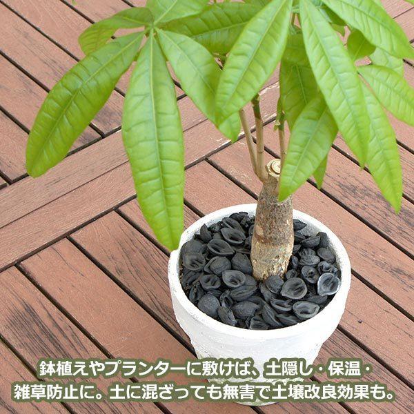 くるみ の 殻炭 50g メール便 送料無料 1000円 ぽっきり 天然 素材