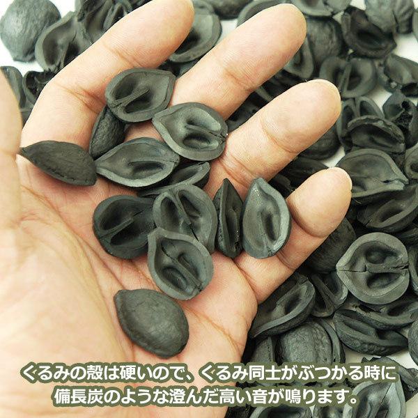 くるみ の 殻炭 50g メール便 送料無料 1000円 ぽっきり 天然 素材