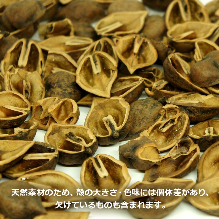 ヒメグルミの殻 6.5kg 約22リットル 送料無料 日本国産 くるみ から